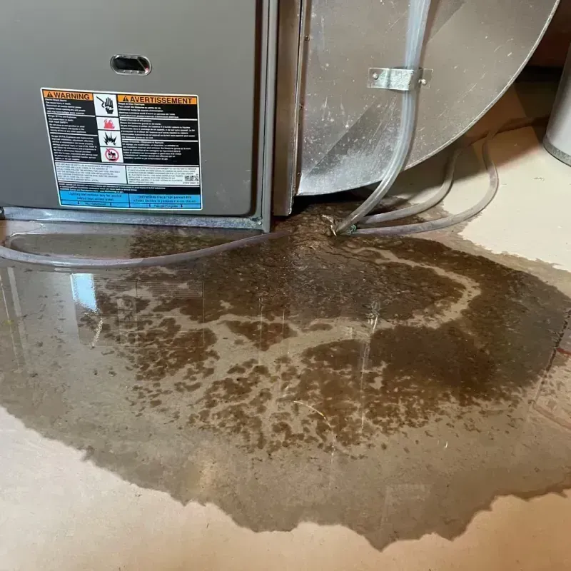 Appliance Leak Cleanup in Moultrie County, IL